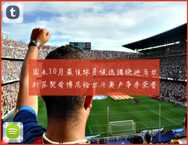 国米10月最佳球员候选揭晓迪马尔科苏契奇博尼恰尔汗奥卢争夺荣誉