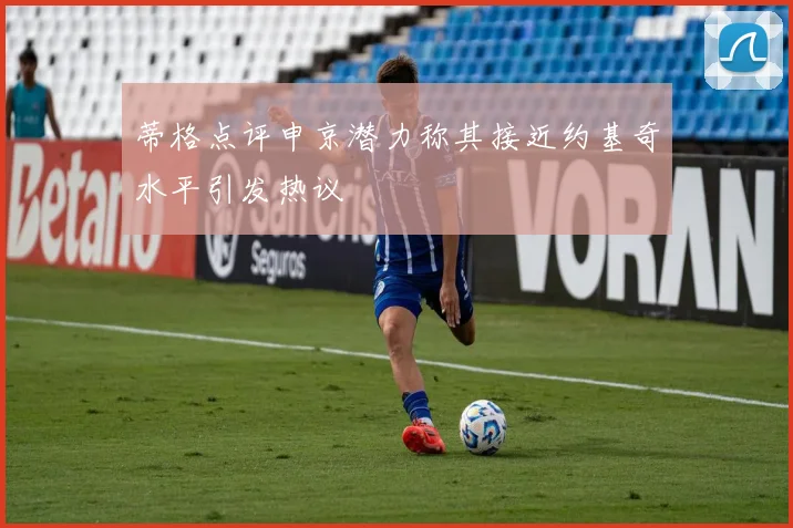 蒂格点评申京潜力称其接近约基奇水平引发热议